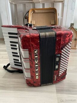 Delicia Junior XIV 72 basov