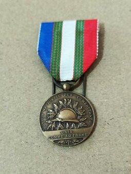 Medaile veteránů 1. sv. války 1914-1918, Francie