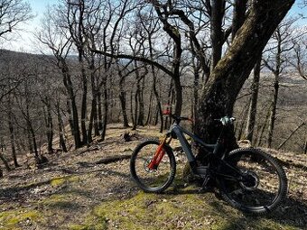 Predám Focus Jam2 7.9 2024 L