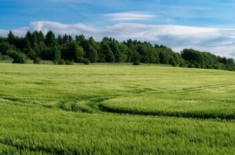 Čeľovce - 900 m2 POĽNOHOSPODÁRSKE POZEMKY - 1