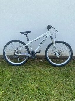 Reptor