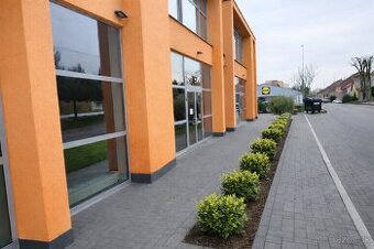 Exkluzívny obchodný priestor 129 m² PRENÁJOM,