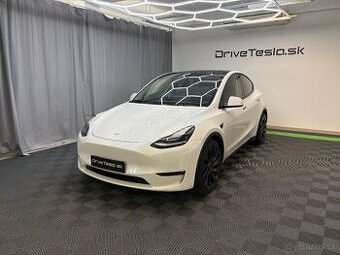 Tesla Model Y Performance 2022 – Sabi