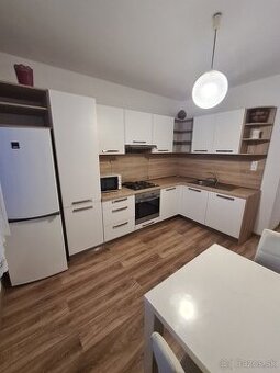 Ponúkam do prenájmu 1 Izbový byt pri Sanate