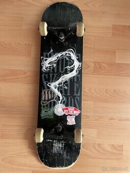 Skateboard