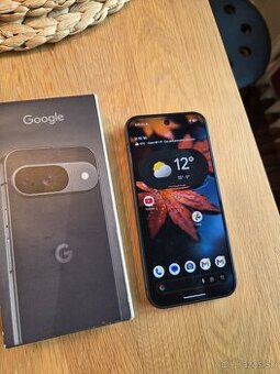 Google Pixel 9