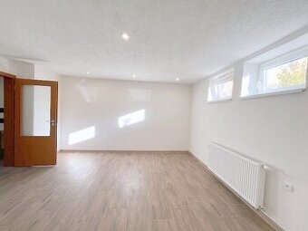 1- IZBOVÝ TEHLOVÝ BYT PO NOVEJ REKONŠTRUKCII, PLAVISKO