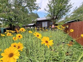 Predaj záhrady s chatkou, Spišská Nová Ves