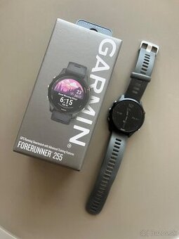 Garmin Forruner 255
