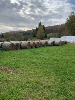 Predám seno 2. Trieda