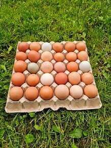 Domáce vajíčka vajcia