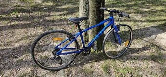 Juniorský bicykel GIANT ARX 26"
