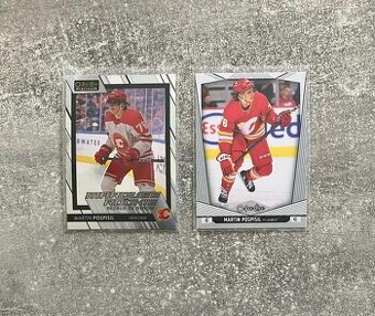 Hokejové kartičky Slováci v NHL