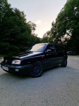 Volkswagen golf III 1.9TDI 81kW Colour concept