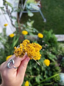 🌻Kytička sušených žltých slameničiek