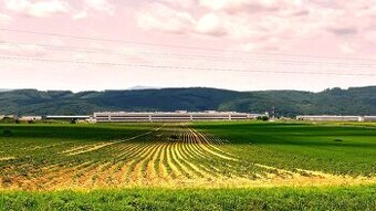 INVESTIČNÉ POZEMKY V ZÁBORSKOM