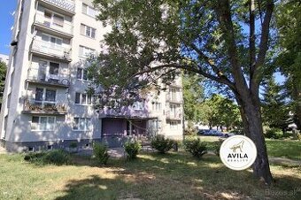 Výmena bytu za väčší 4-5 izbový NMNV