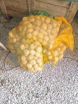 Predám zemiaky na zimné uskladnenie.