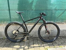 Workswell 29er Carbon HT