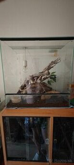 Predám terarium 50x50x40 aj s gekončikom nočným (samec)