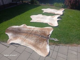 Dekoračná koža z Daniela