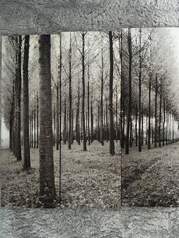 Moderne obrazy na plne