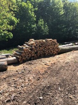 Predám palivove drevo buk jasen doprava 30km gratis