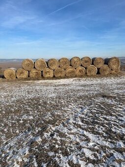 Predám balíky slamy