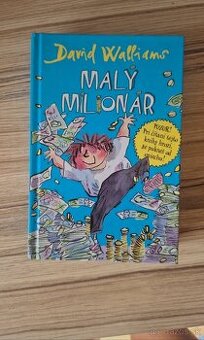 David Williams-Malý milionár