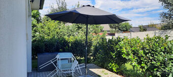 predam slnecnik a gratis 2 lezadla
