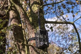 Fotopasca zivy prenos