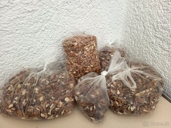 Predám lupane orechy.