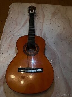 Klasika gitara Valencia CG160 (/) + ob