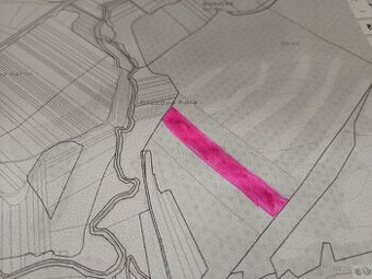 PREDAJ LESNÉHO POZEMKU - PODIEL 3/6