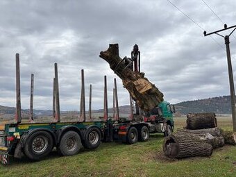 Kúpim Nadrozmernu Guľatinu Kmene Drevo Stromy