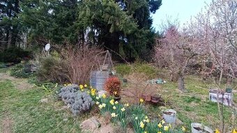 Predám chatu v Harmónii s krásnym výhľadom - 1