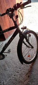 Bicykel Alpina - 1