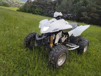 Dinli quadzilla 450