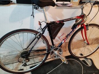bicykel Dema MERANO