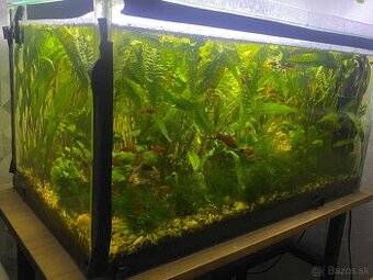 akvarium