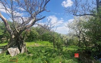 Predaj, pozemky/bývanie, 1247 m2, Koziarka, Bratislava-Nové