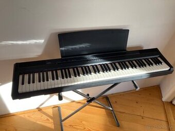 Yamaha p 105