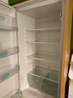 Vstavana chladnička s mrazničkou - 1