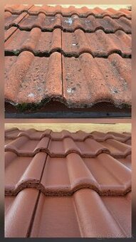 Malovanie striech (Natery strech)