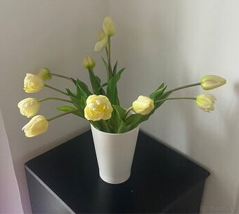 Ako živé Luxusné tulipány z Amsterdamu