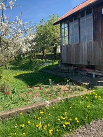 Predám záhradu s drevenou chatkou v Myjave osada Šimonoviča.
