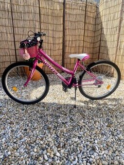 KENZEL COMPACT 24