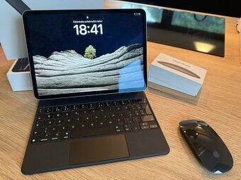 Apple iPad Pro11" 256GB wifi+Celular Silver+Magic Mouse 2