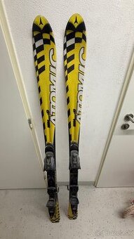 Atomic SL 9 - 160 cm