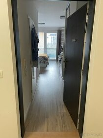 Pranájmem 1-izbový byt v Petržalke v Slnečniciach